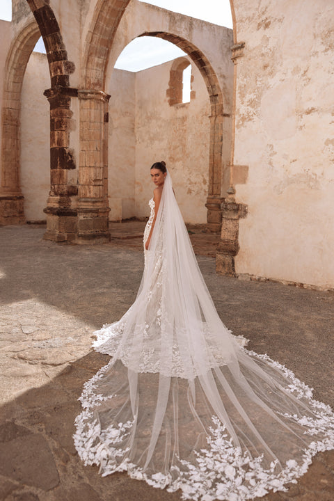 Lace wedding dress with a cathedral-length veil and floral appliqué train, perfect for a timeless bridal look.